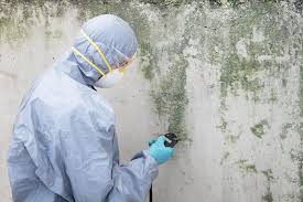 Best Commercial Mold Inspection  in Hlcrest, IL